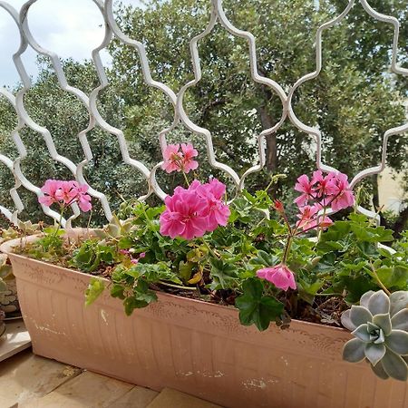 Stella Maris Hosting Apartment Haifa Luaran gambar